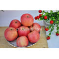 Exportar nova safra boa qualidade competitiva Fuji maçã